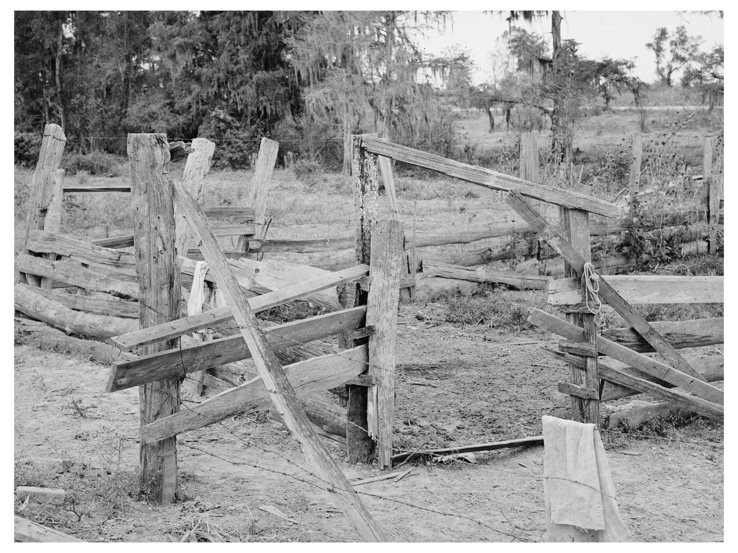 Fencing on W.E. Smiths Farm Morganza Louisiana 1938