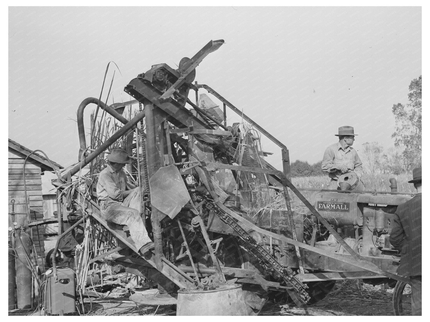 Sugarcane Harvester in New Roads Louisiana October 1938