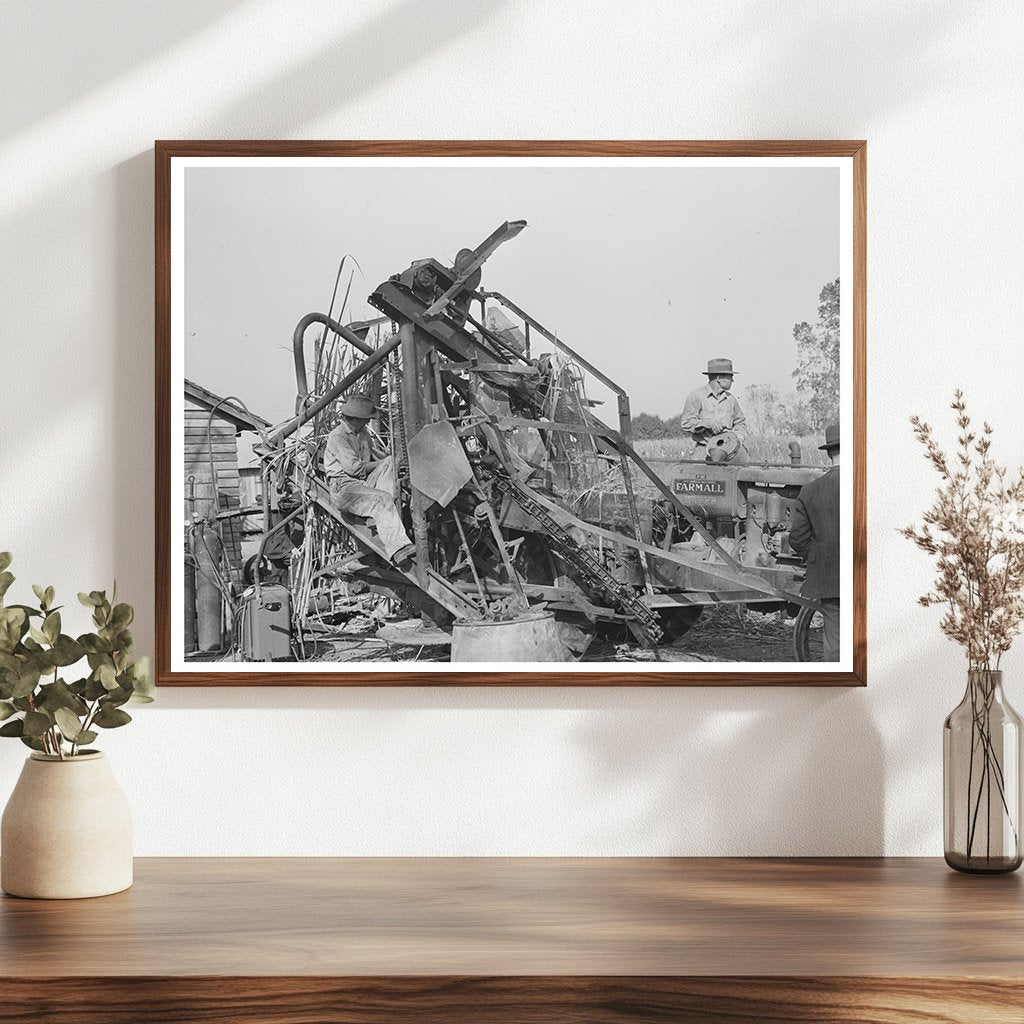 Sugarcane Harvester in New Roads Louisiana October 1938