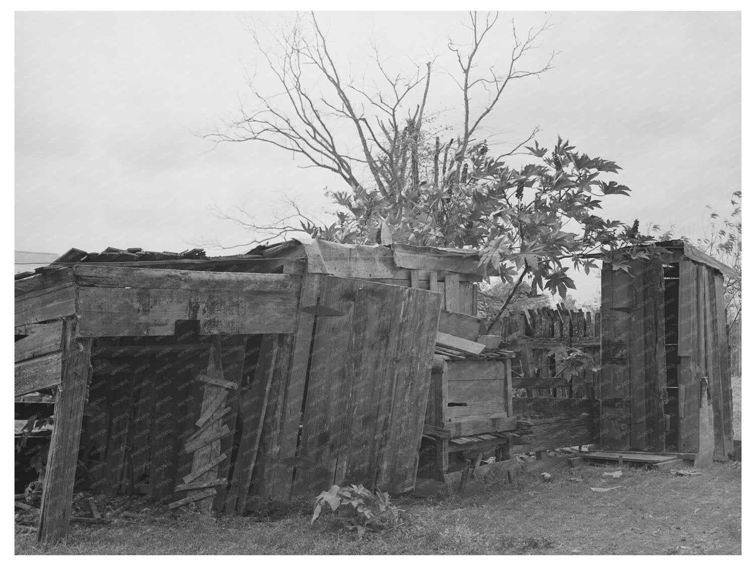Farmstead of Emil Kimball Morganza Louisiana 1938