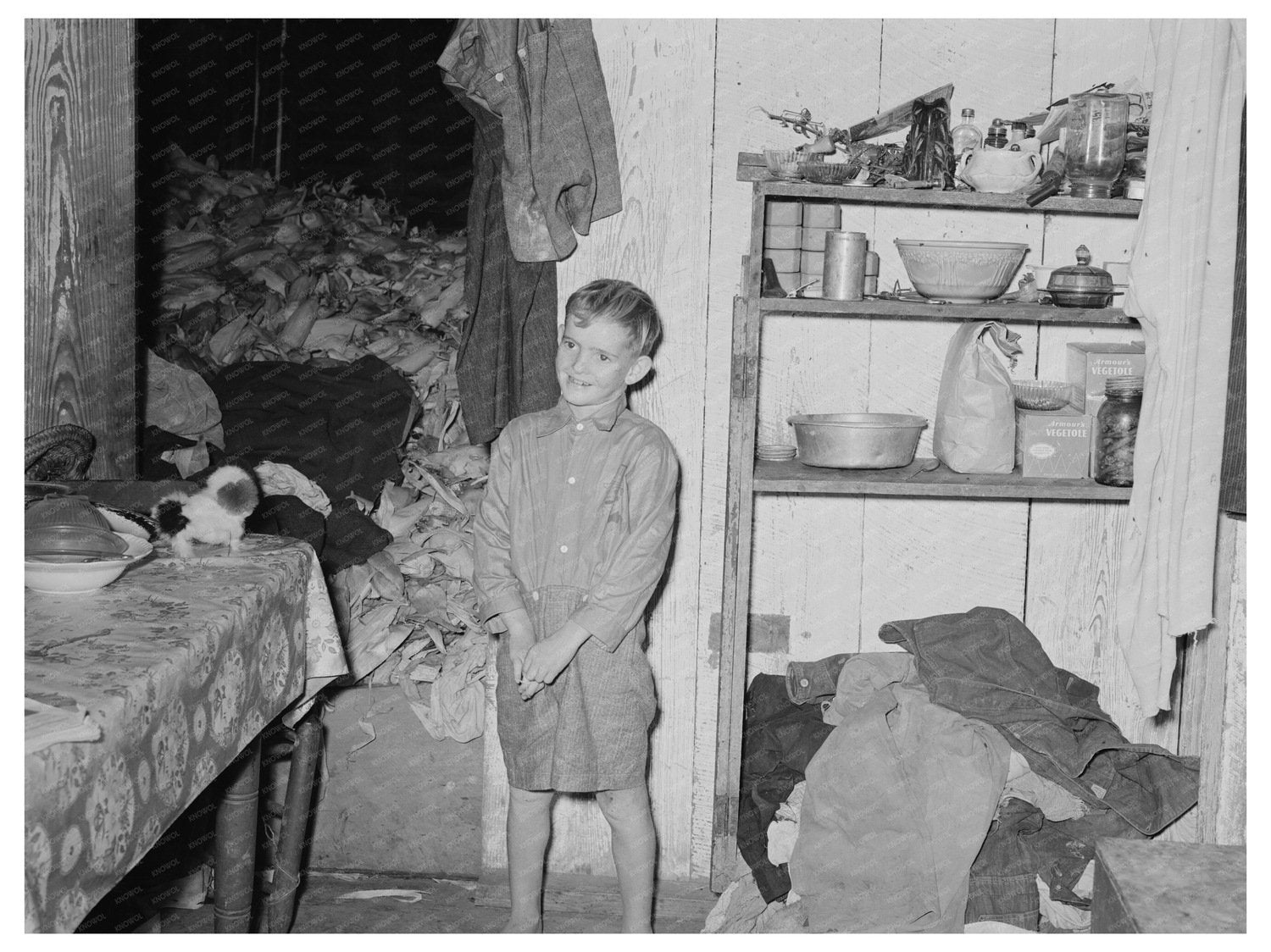 Young Boy in Adams Family Kitchen Morganza Louisiana 1938