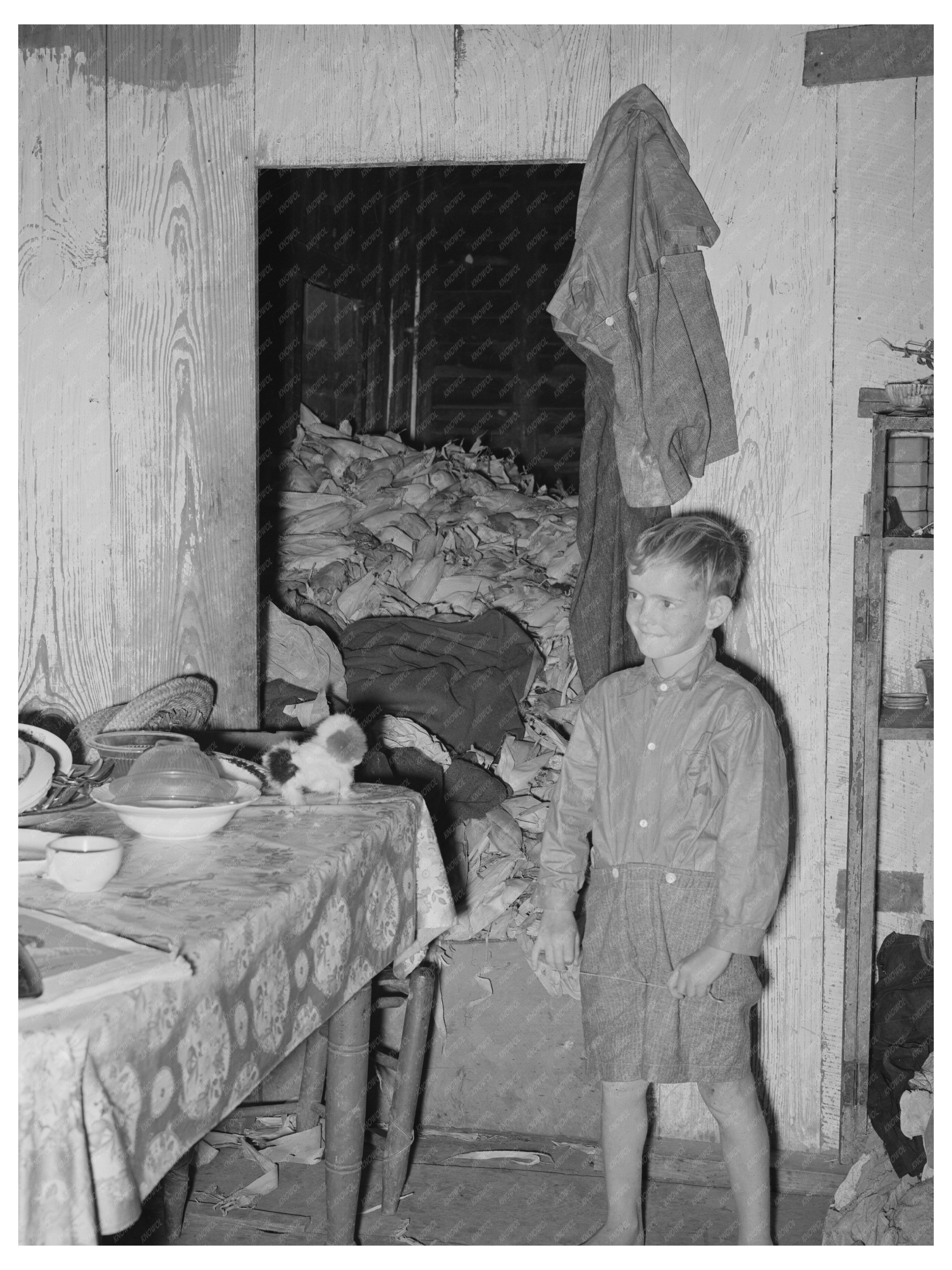 Young Boy in Kitchen with Corn Crib Louisiana 1938