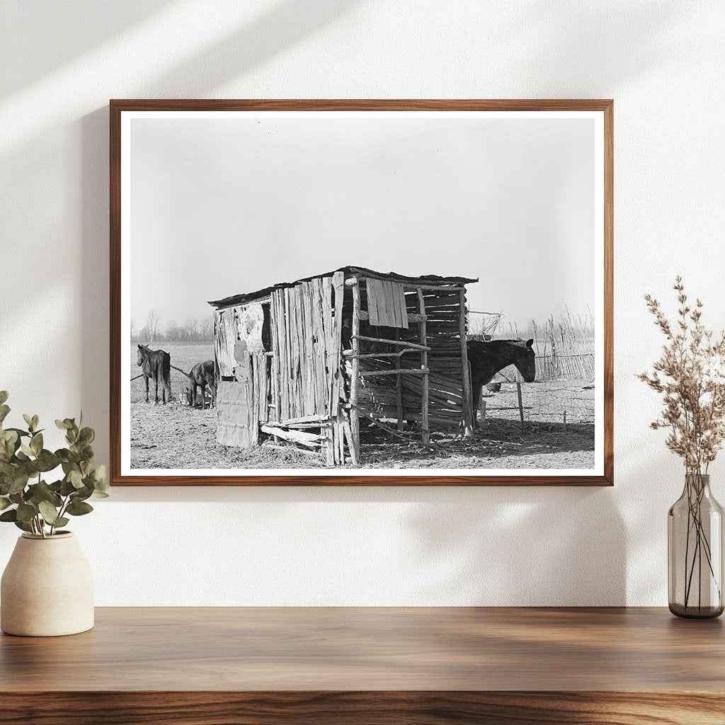 Mule and Horse Shed East Carroll Parish Louisiana 1939