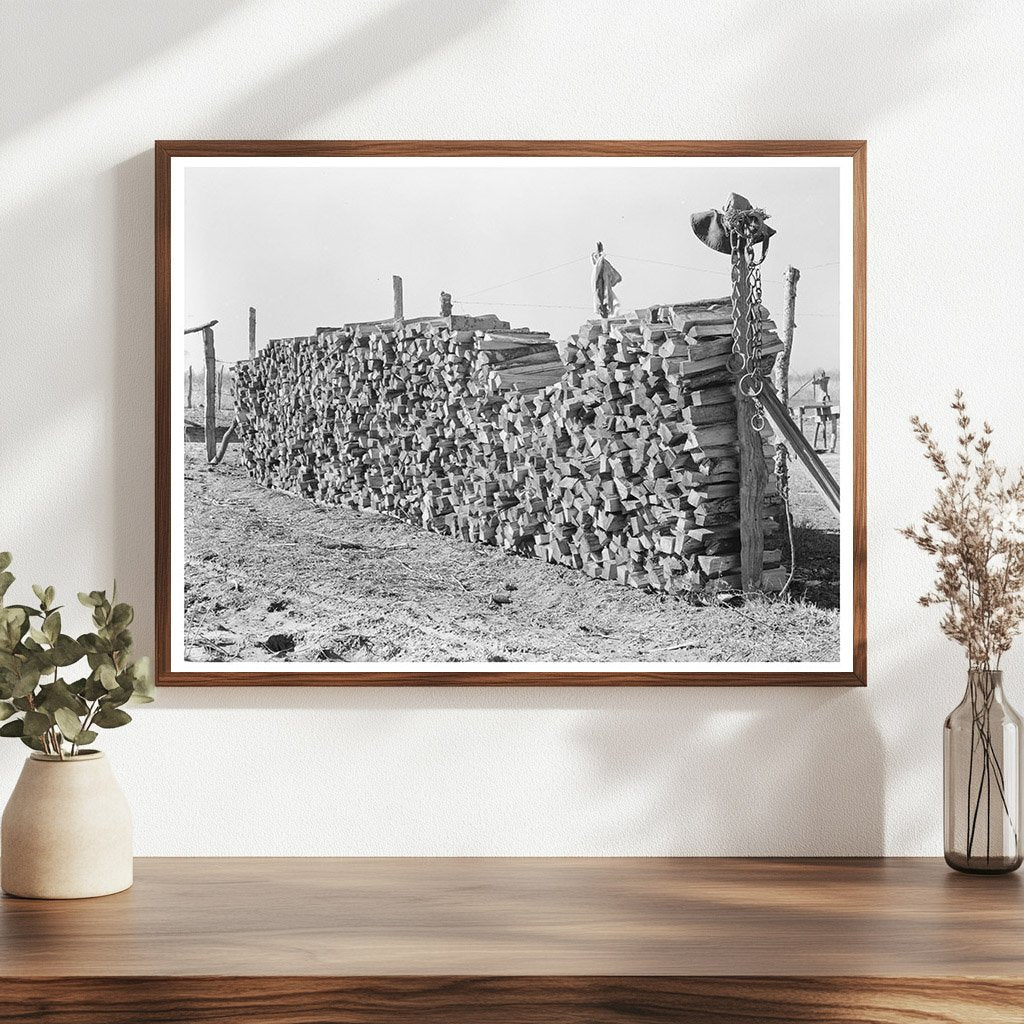 Vintage Farm Wood Pile East Carroll Parish Louisiana 1939