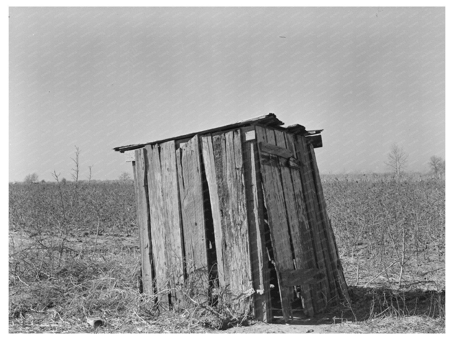 Privy on Sharecroppers Farm Louisiana January 1939