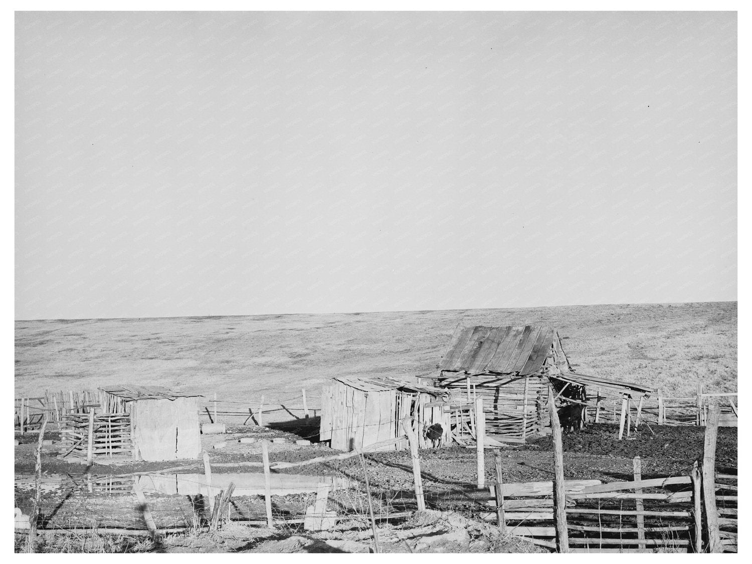 Outbuildings on a Louisiana Farm January 1939