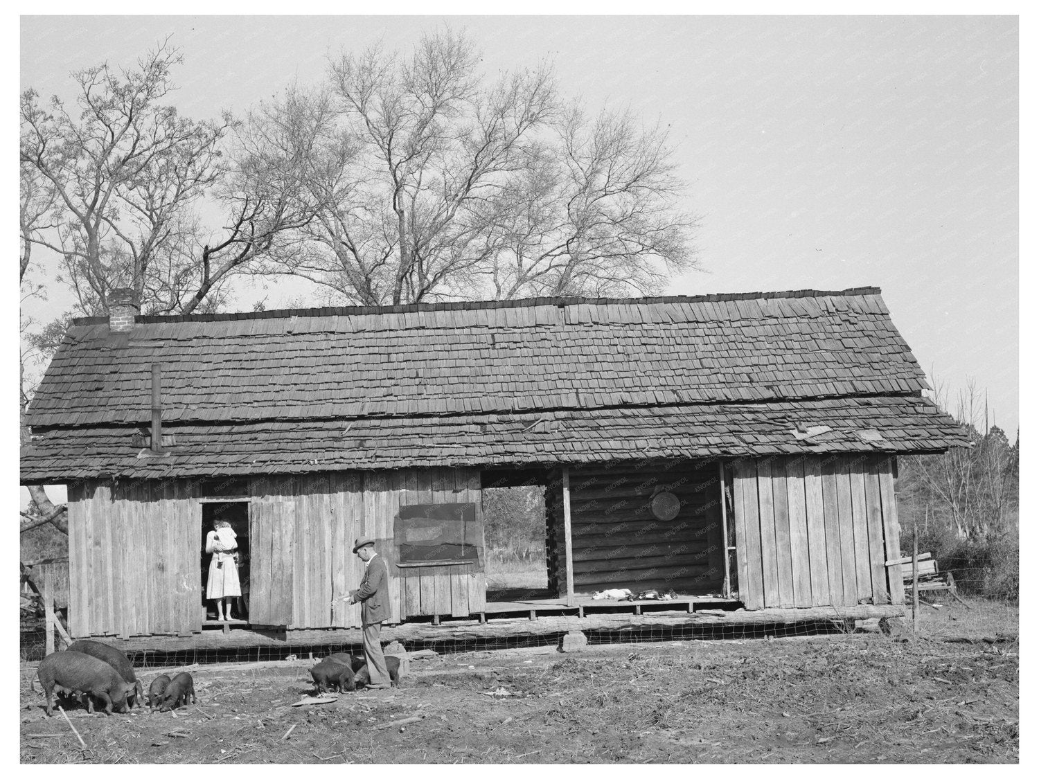 Dog Trot Cabin of Ed Bagget Laurel Mississippi 1939
