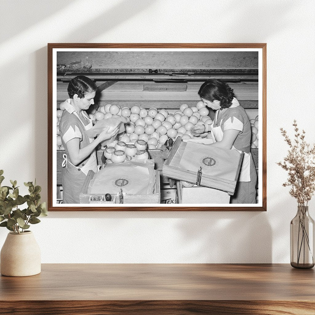 Grapefruit Packing Process in Weslaco Texas 1939