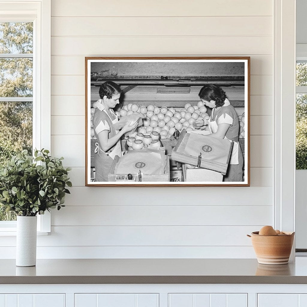 Grapefruit Packing Process in Weslaco Texas 1939