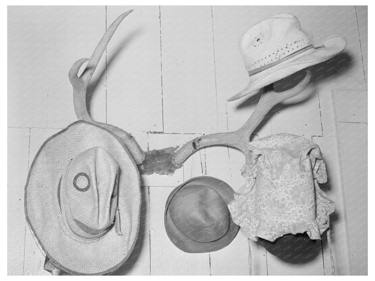 Hat Rack in Mexican Farm Home Hidalgo County Texas 1939