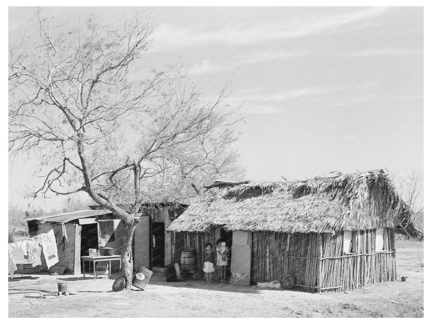 Mexican Day Laborers Hut Santa Maria Texas 1939
