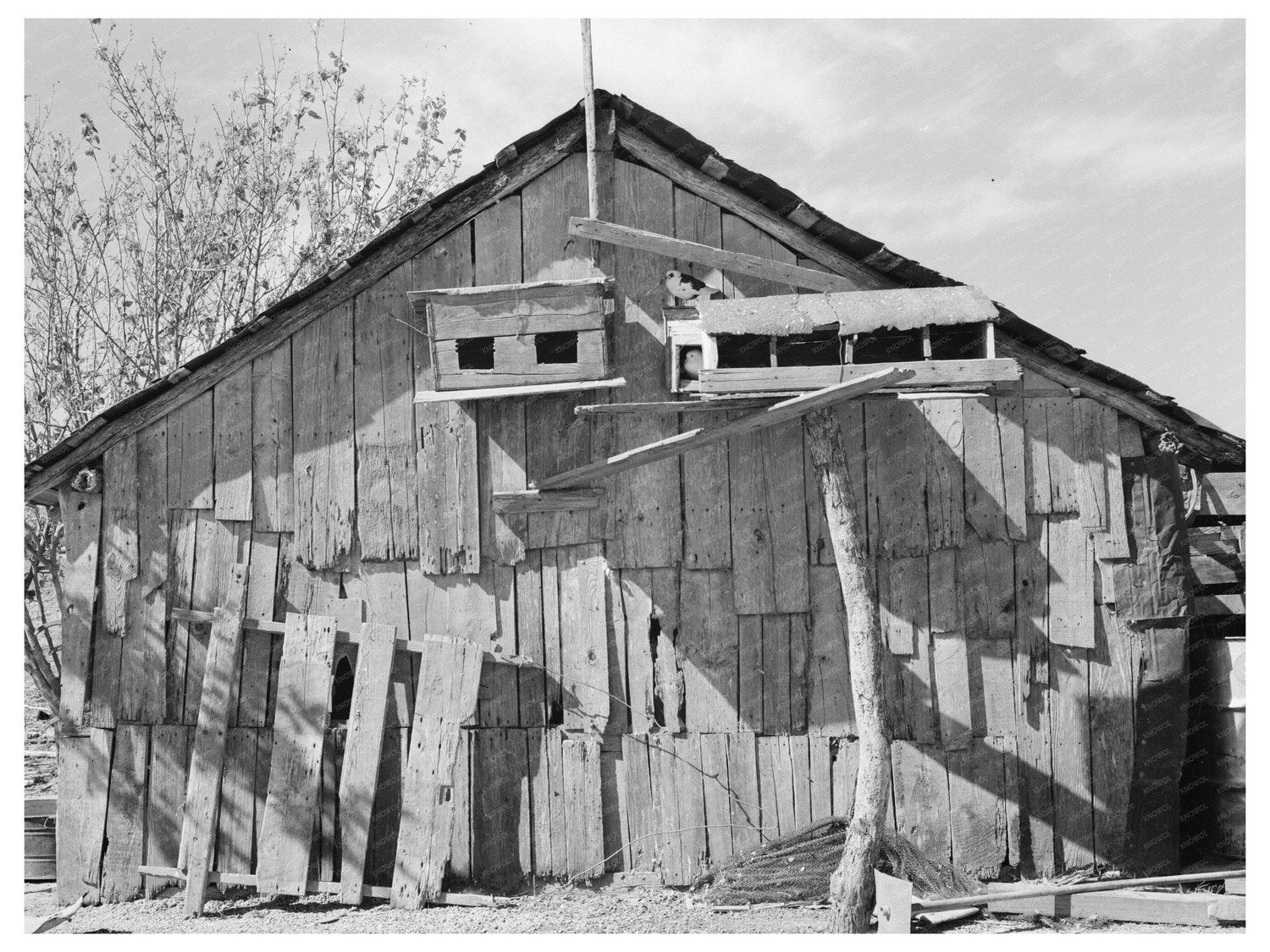 Vintage Barn of Mexican Laborer in Santa Maria Texas 1939