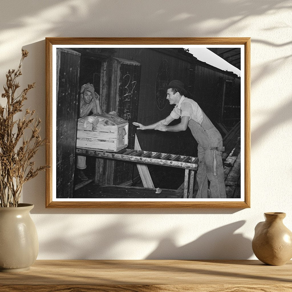 Workers Loading Vegetable Crates in Elsa Texas 1939