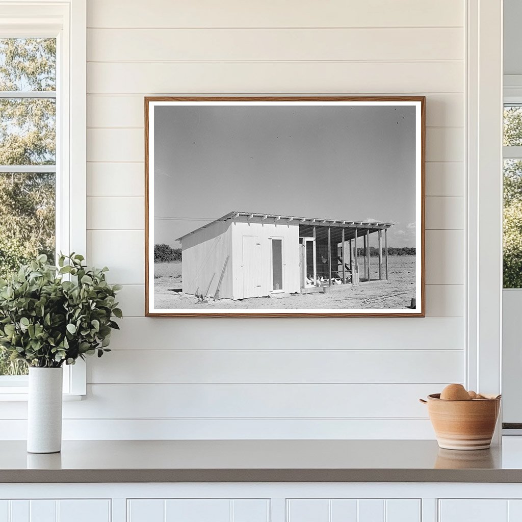 Hidalgo County Chicken House February 1939 Photo