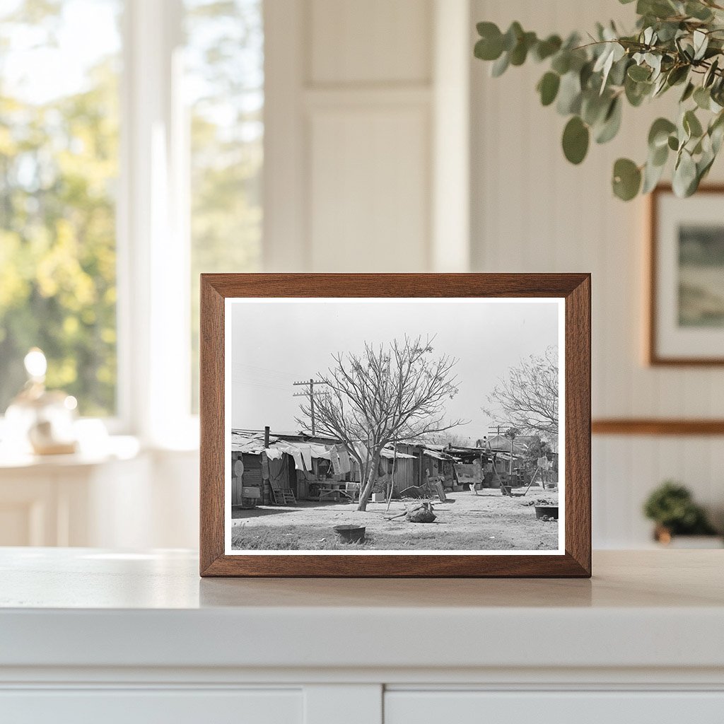 Vintage Backyards of Alamo Texas February 1939