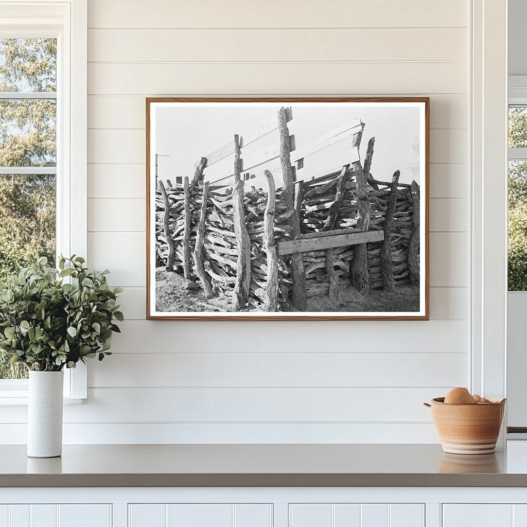 Mexican Farm Corral in Hidalgo County Texas 1939
