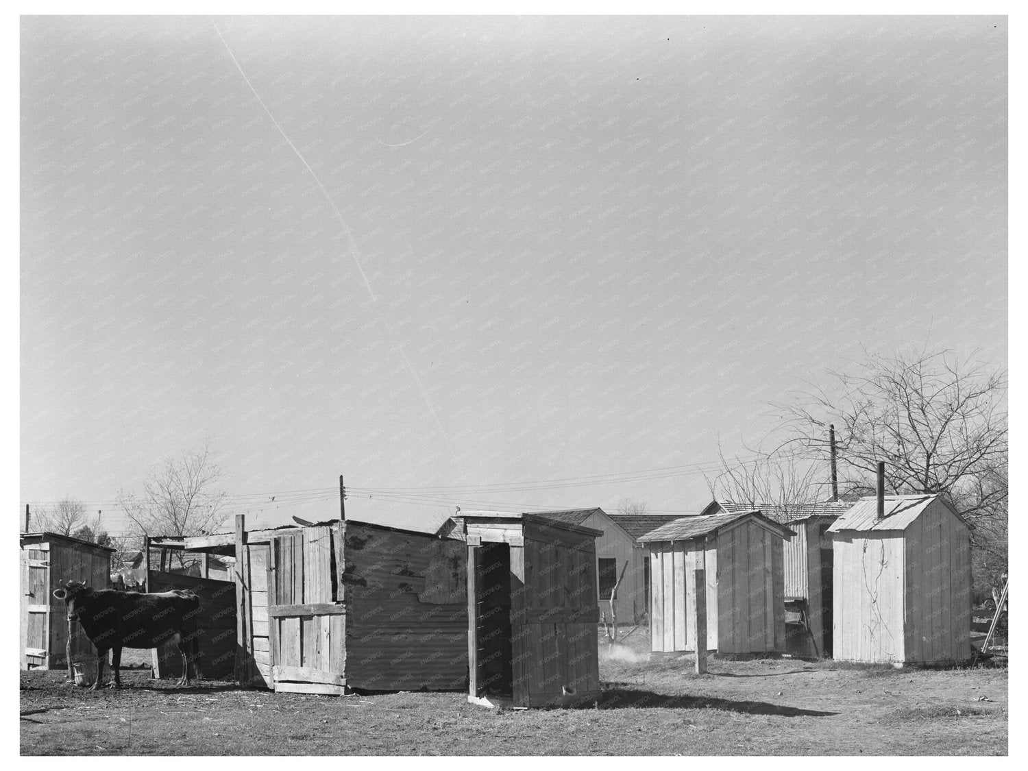 Privies and Outbuildings in Robstown Texas 1939