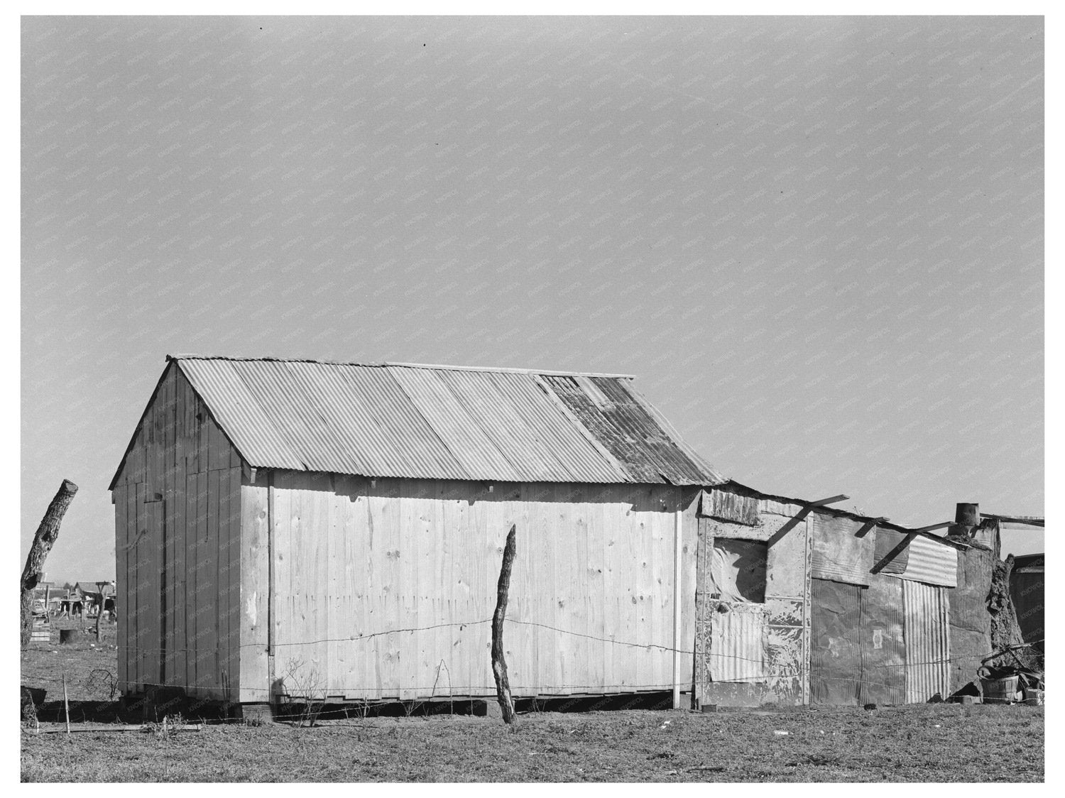 Mexican House in Robstown Texas February 1939 Photo