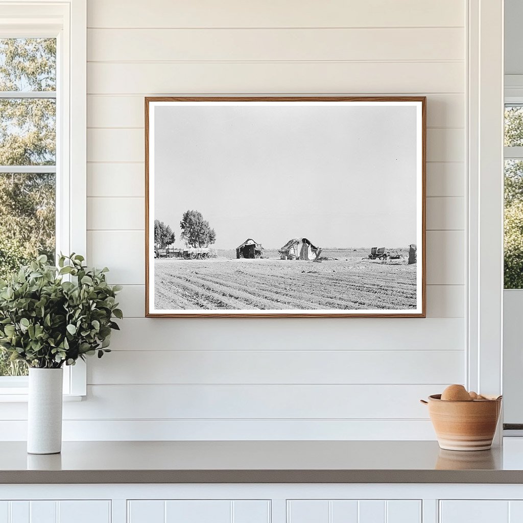 Mexican Farmstead Near Edinburg Texas February 1939