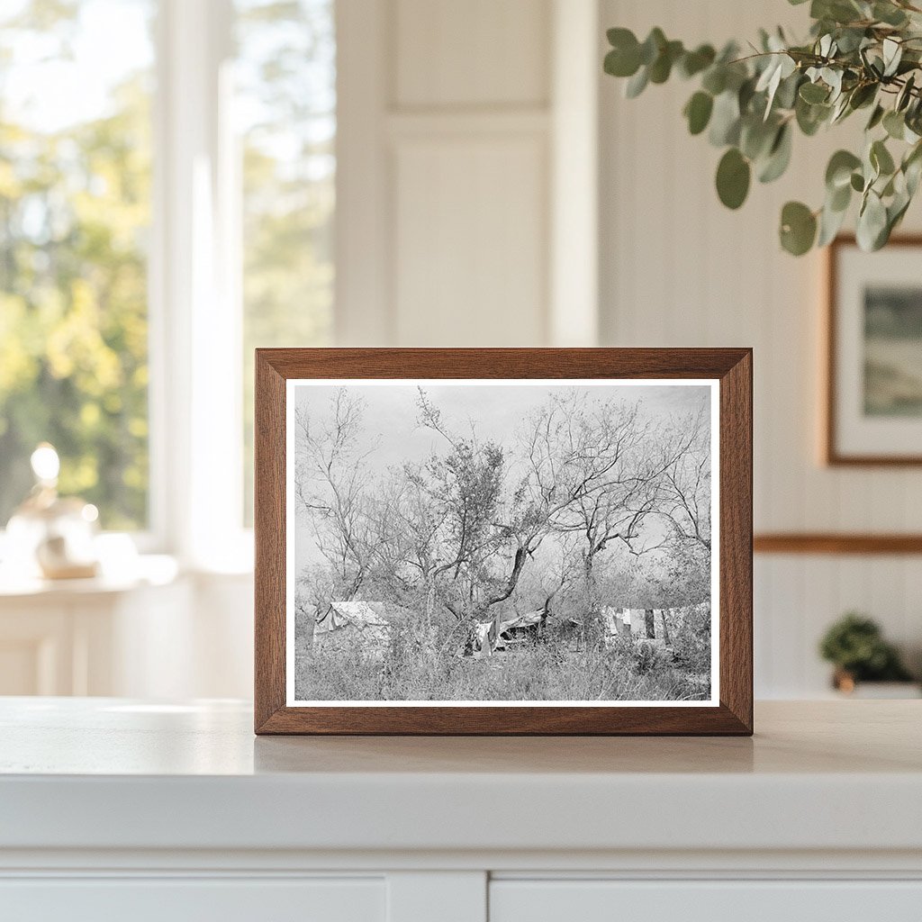 Migrant Camp in Harlingen Texas February 1939