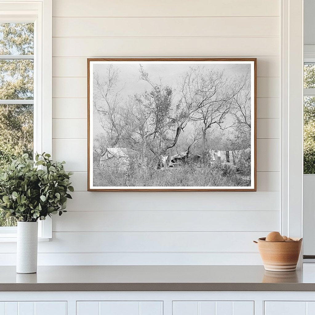 Migrant Camp in Harlingen Texas February 1939