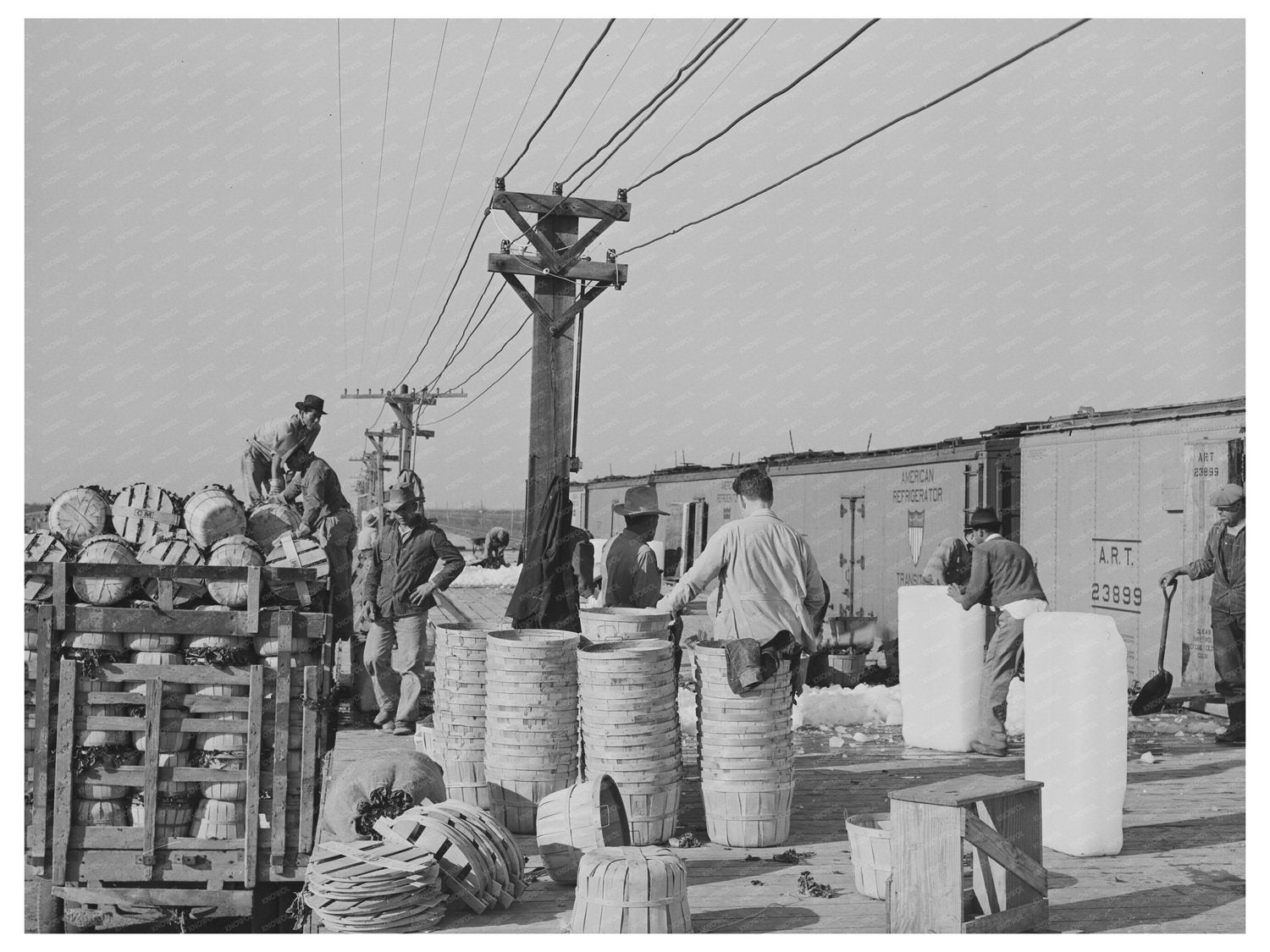 Vintage Spinach Unloading in La Pryor Texas March 1939