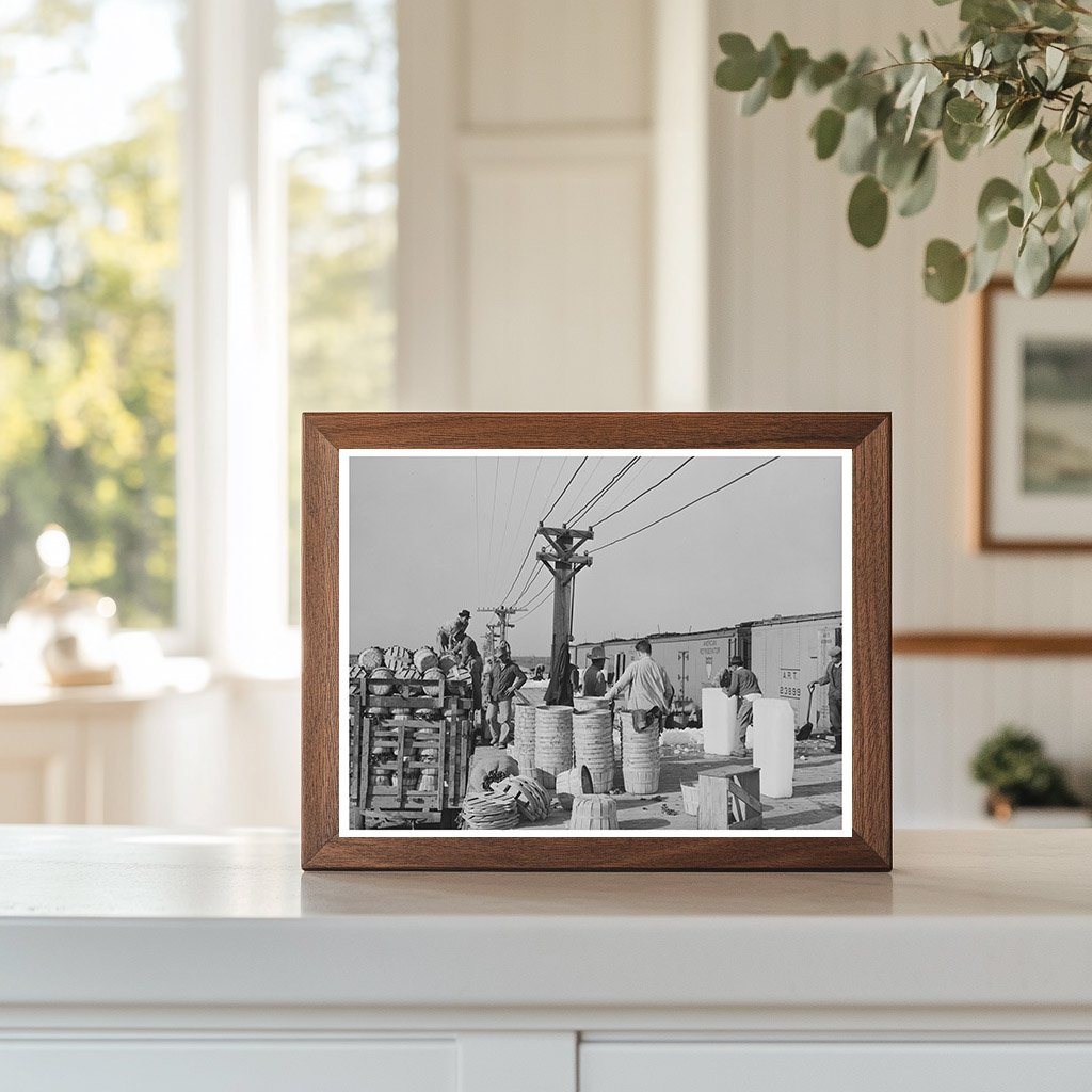 Vintage Spinach Unloading in La Pryor Texas March 1939