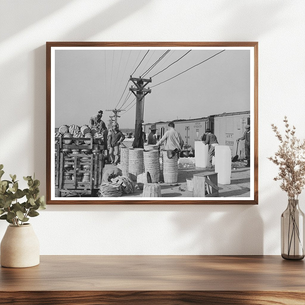 Vintage Spinach Unloading in La Pryor Texas March 1939