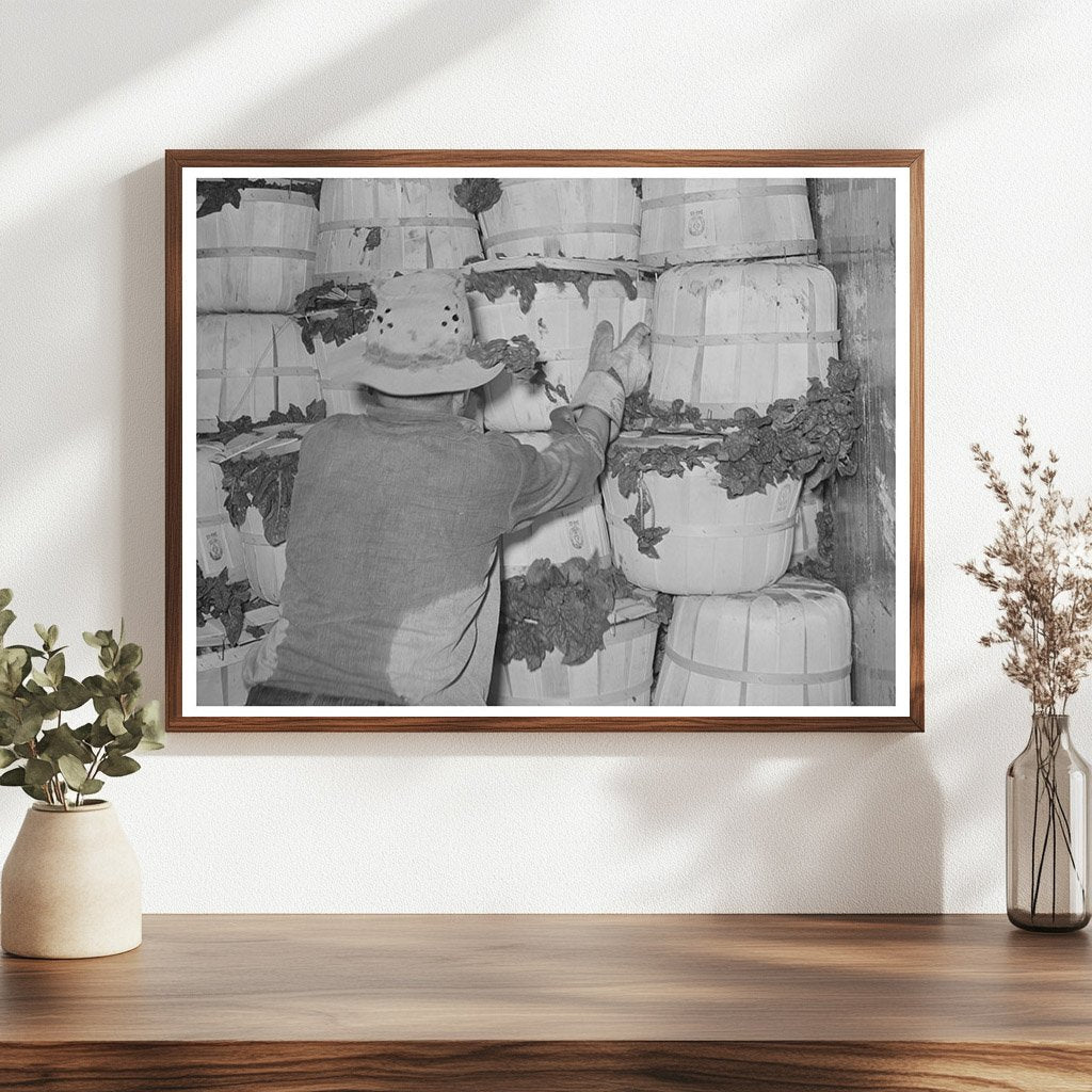 Packing Spinach in La Pryor Texas March 1939