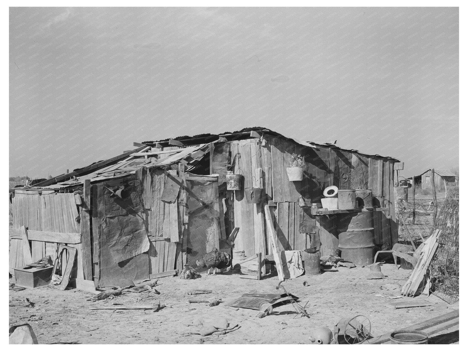 Mexican Day Laborers Home in Zavala County 1939