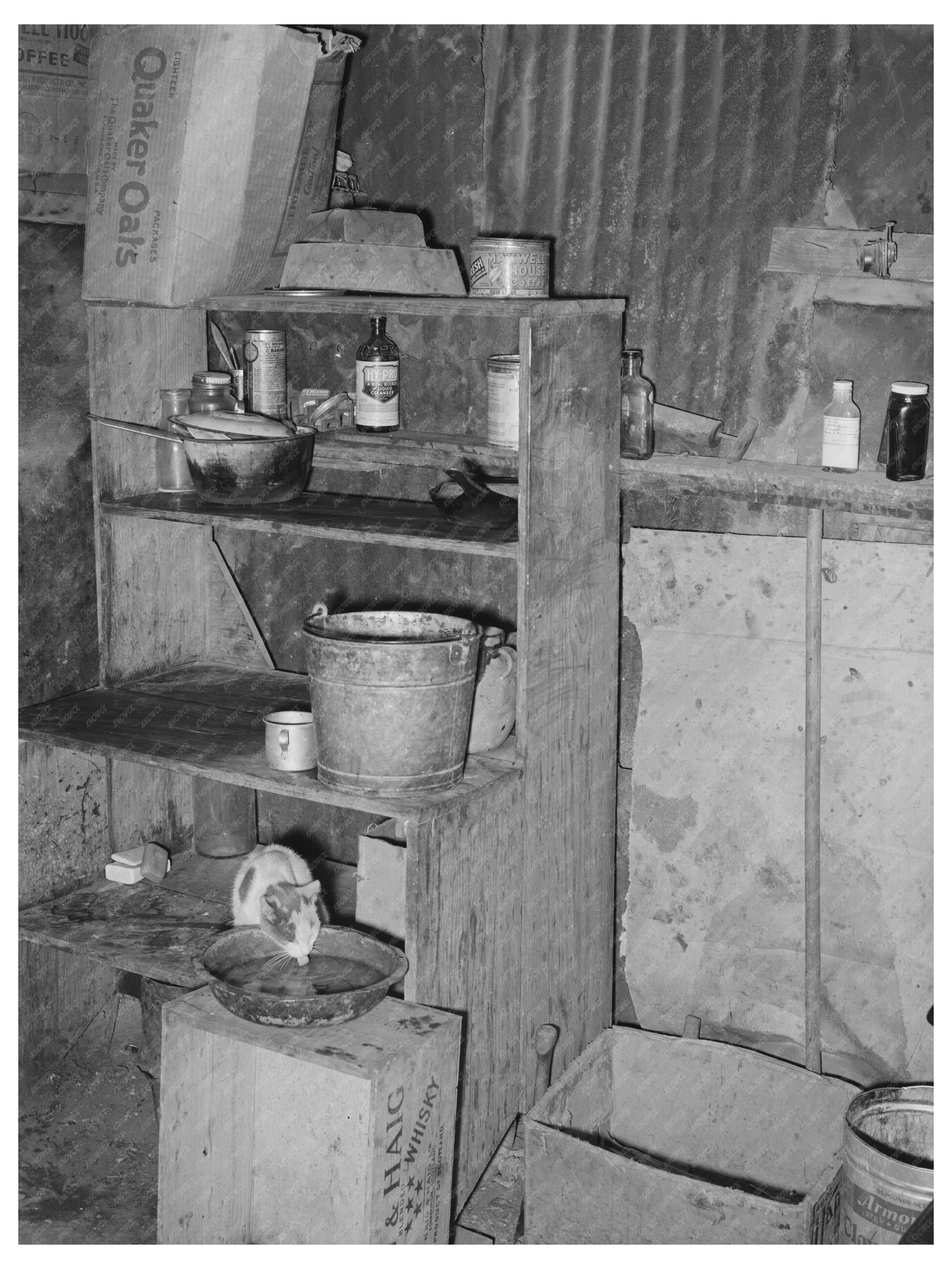 Vintage Kitchen Scene with Cat San Antonio Texas 1939