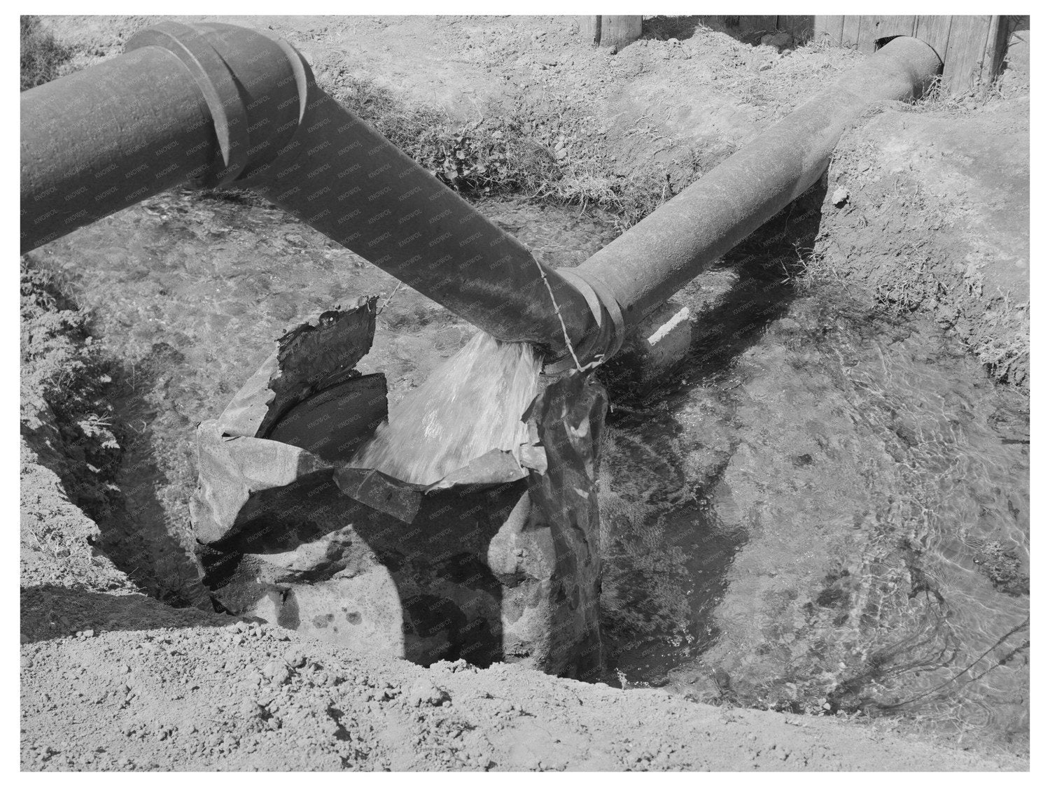 Irrigation Ditch in La Pryor Texas March 1939