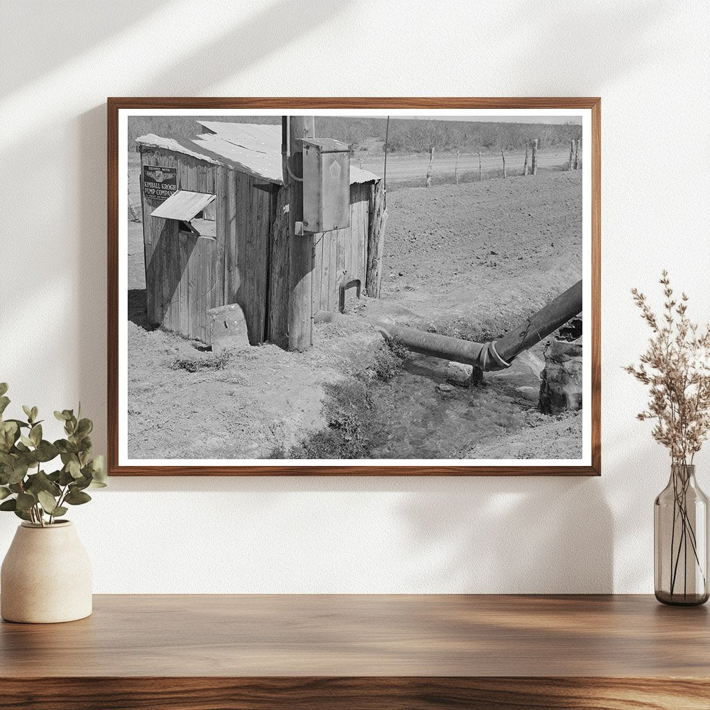 Irrigation System in La Pryor Texas March 1939