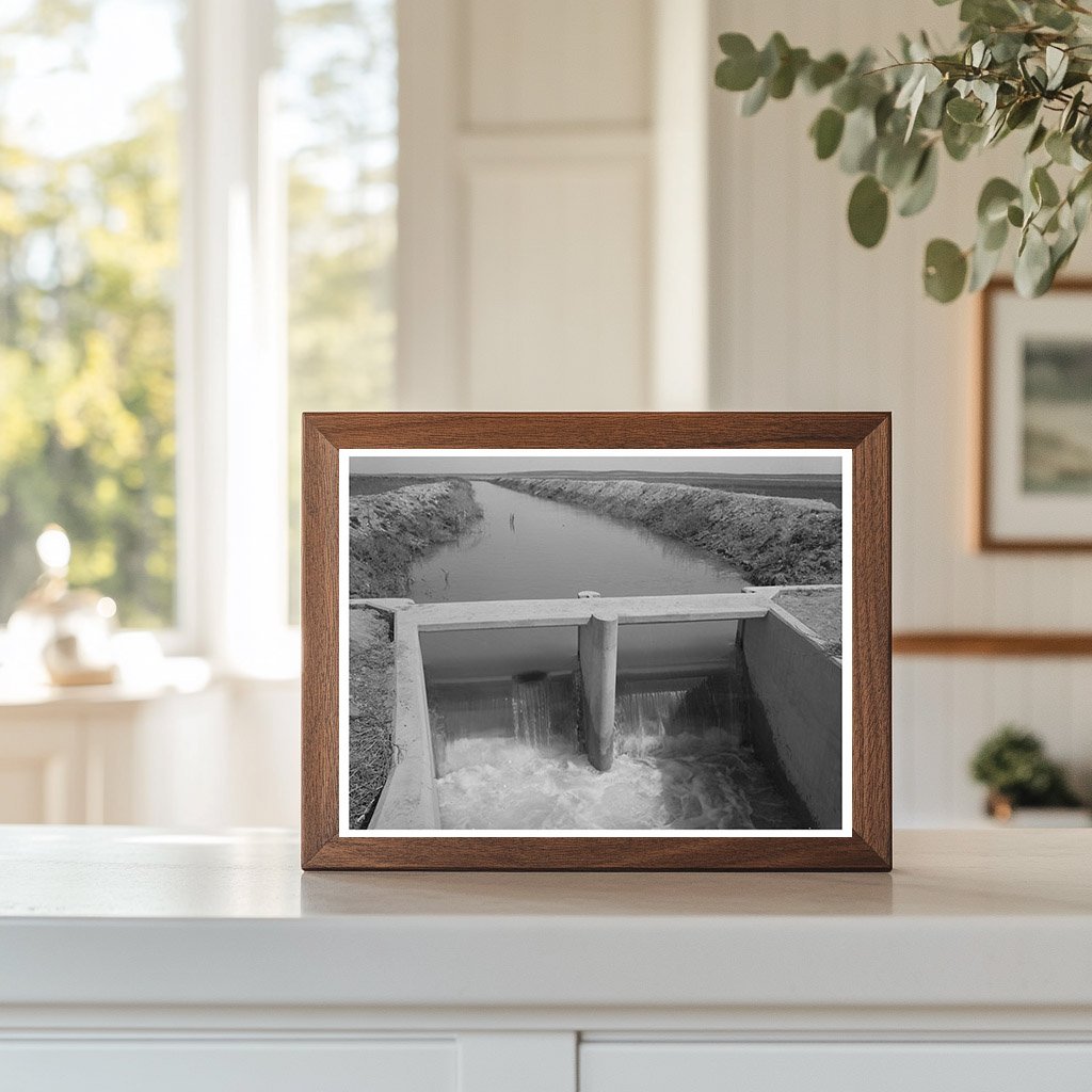 Irrigation Ditch Near Eagle Pass Texas March 1939