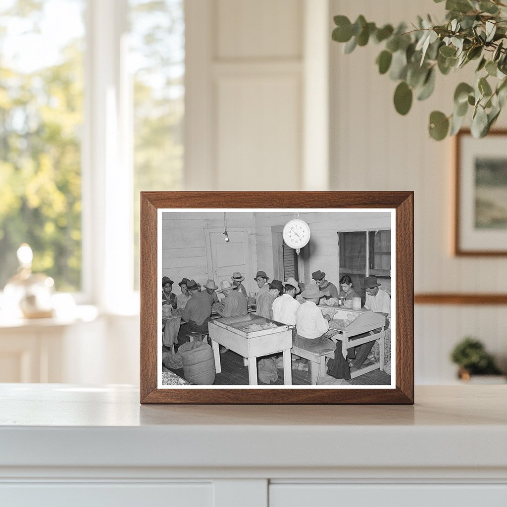 Mexican Pecan Shellers in San Antonio Texas 1939