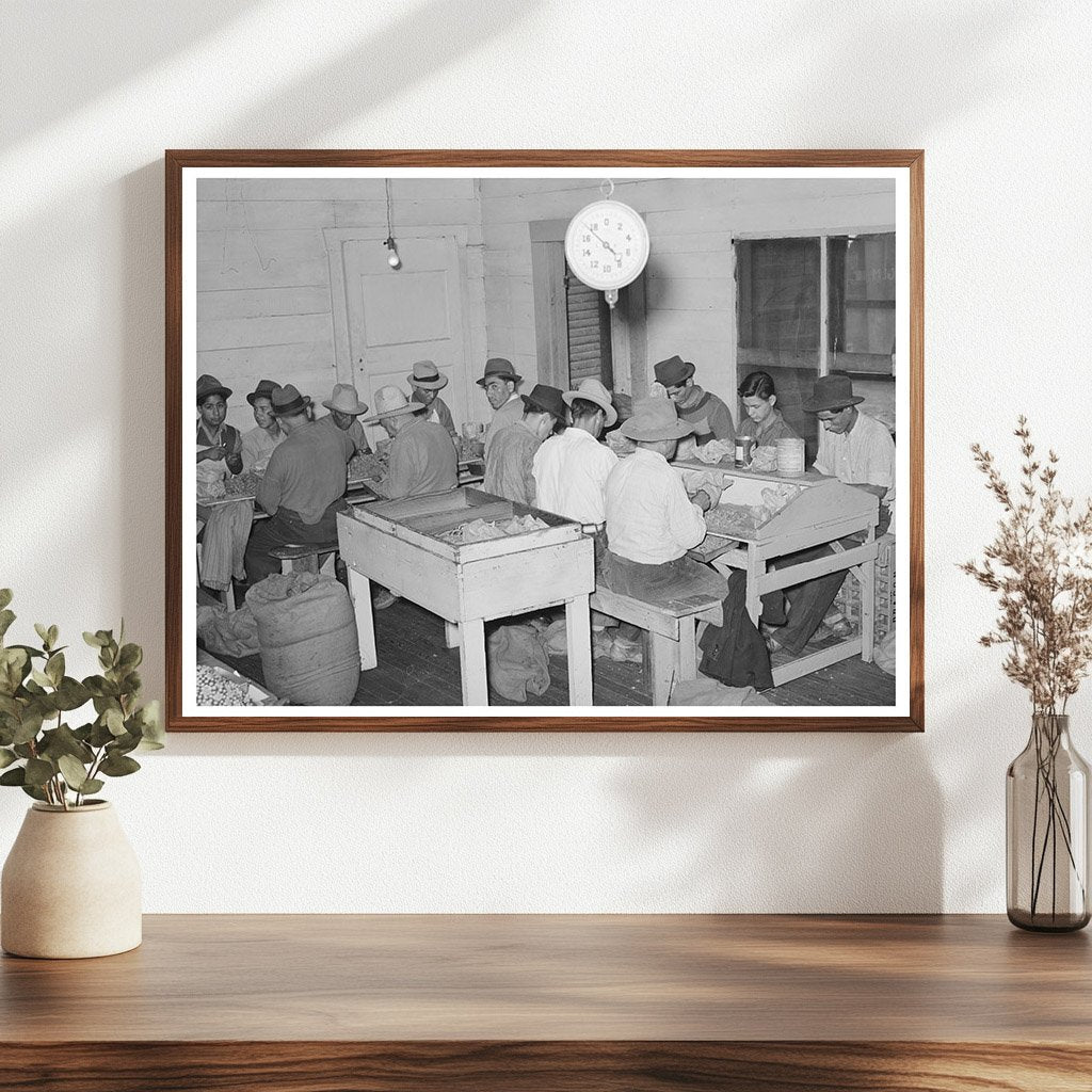 Mexican Pecan Shellers in San Antonio Texas 1939