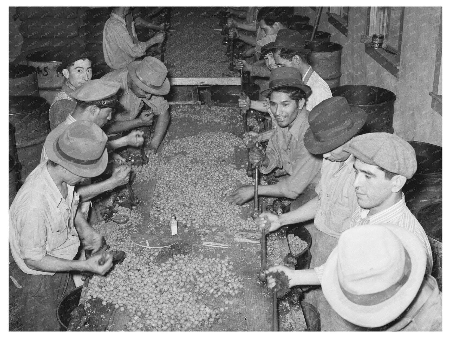 Mexican Pecan Shellers at Work San Antonio Texas 1939
