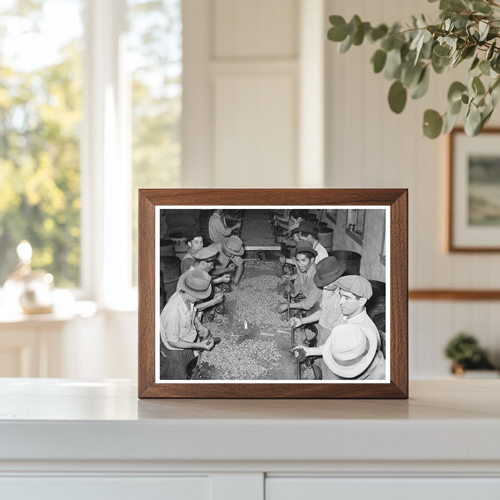 Mexican Pecan Shellers at Work San Antonio Texas 1939