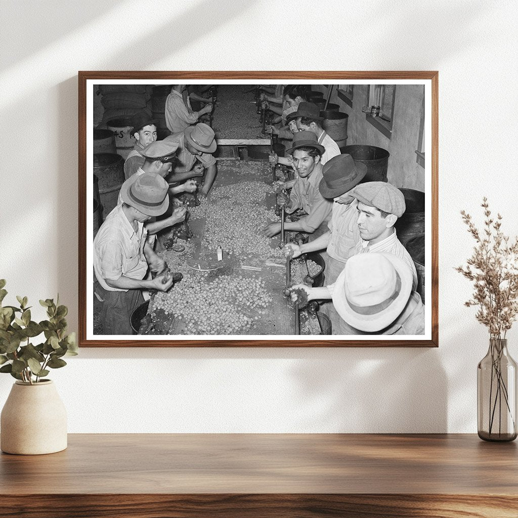 Mexican Pecan Shellers at Work San Antonio Texas 1939