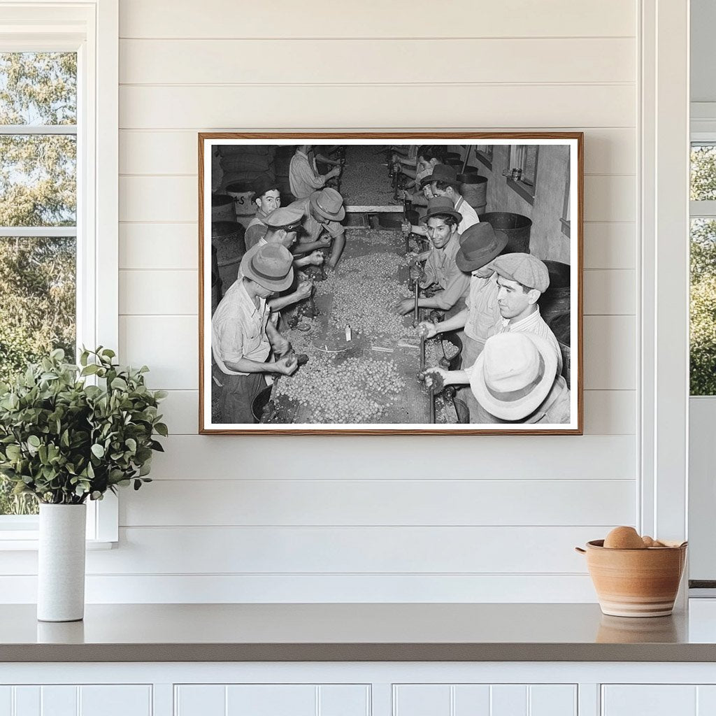 Mexican Pecan Shellers at Work San Antonio Texas 1939