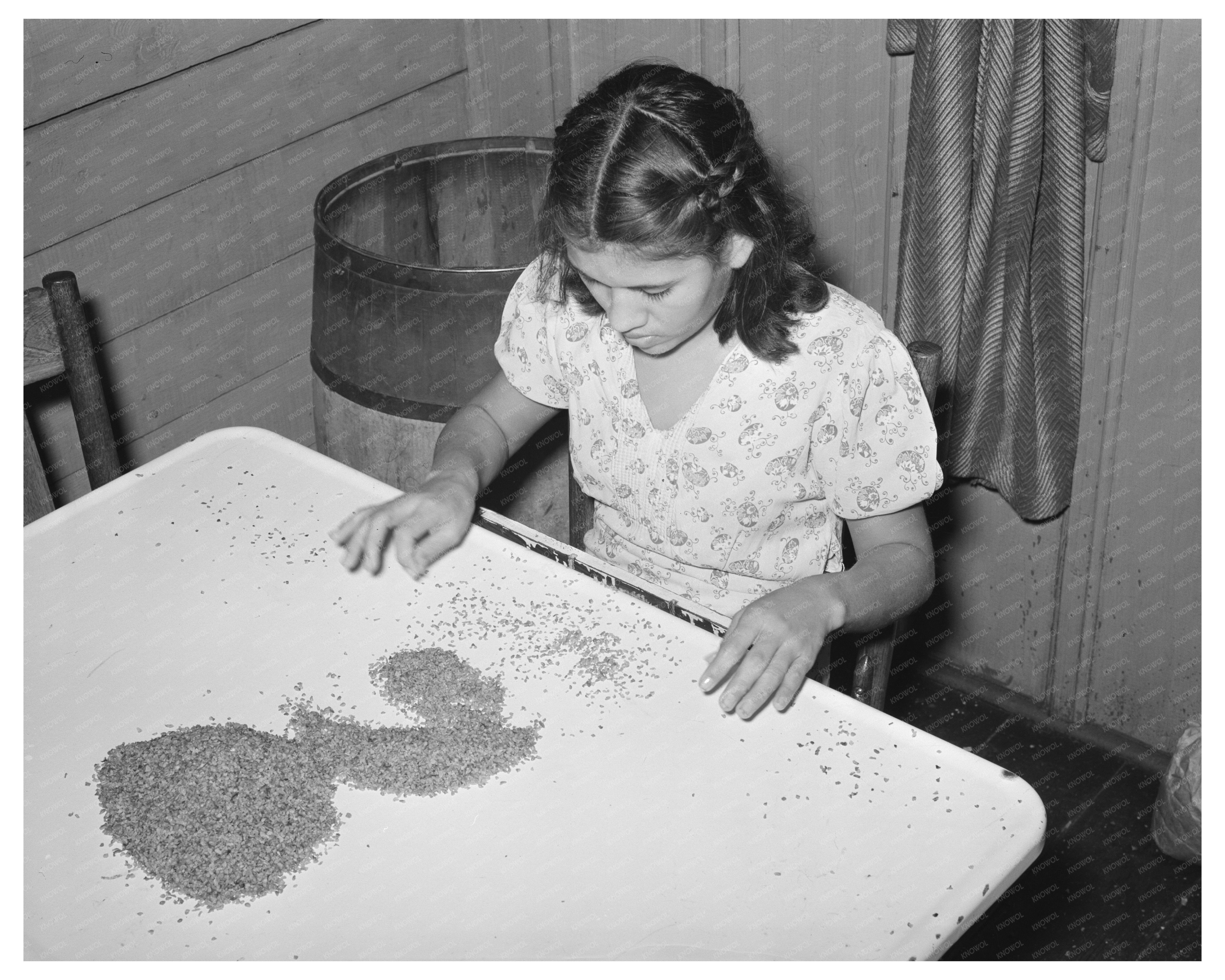 Mexican Girl Shelling Pecans San Antonio 1939