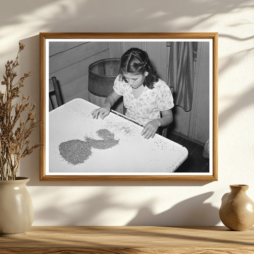 Mexican Girl Shelling Pecans San Antonio 1939