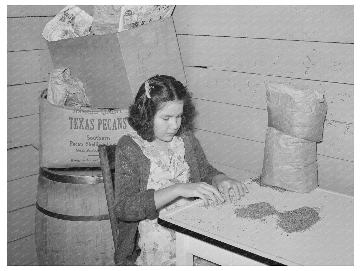 Mexican Girl Shelling Pecan Meats San Antonio 1939