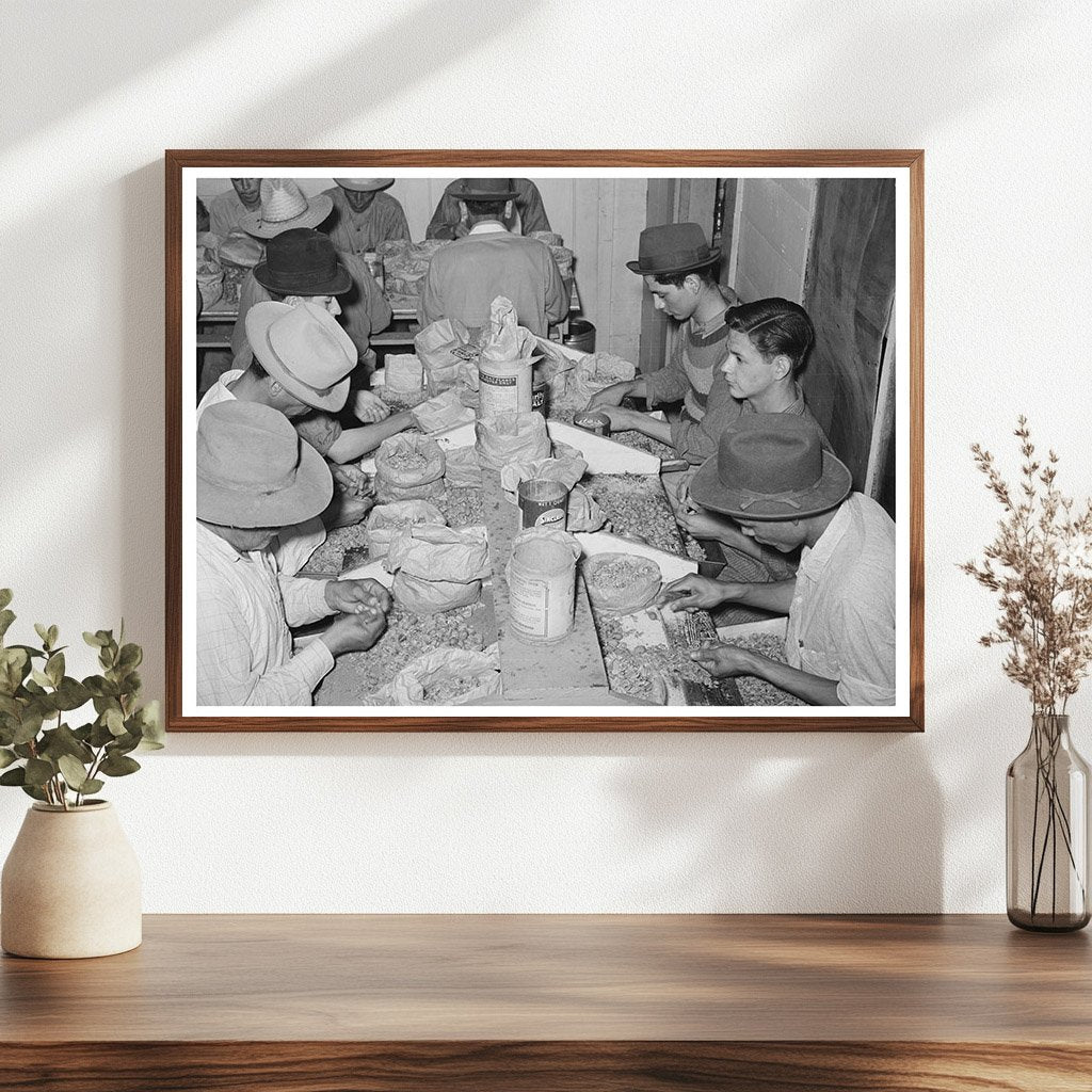 Mexican Pecan Shellers in San Antonio 1939