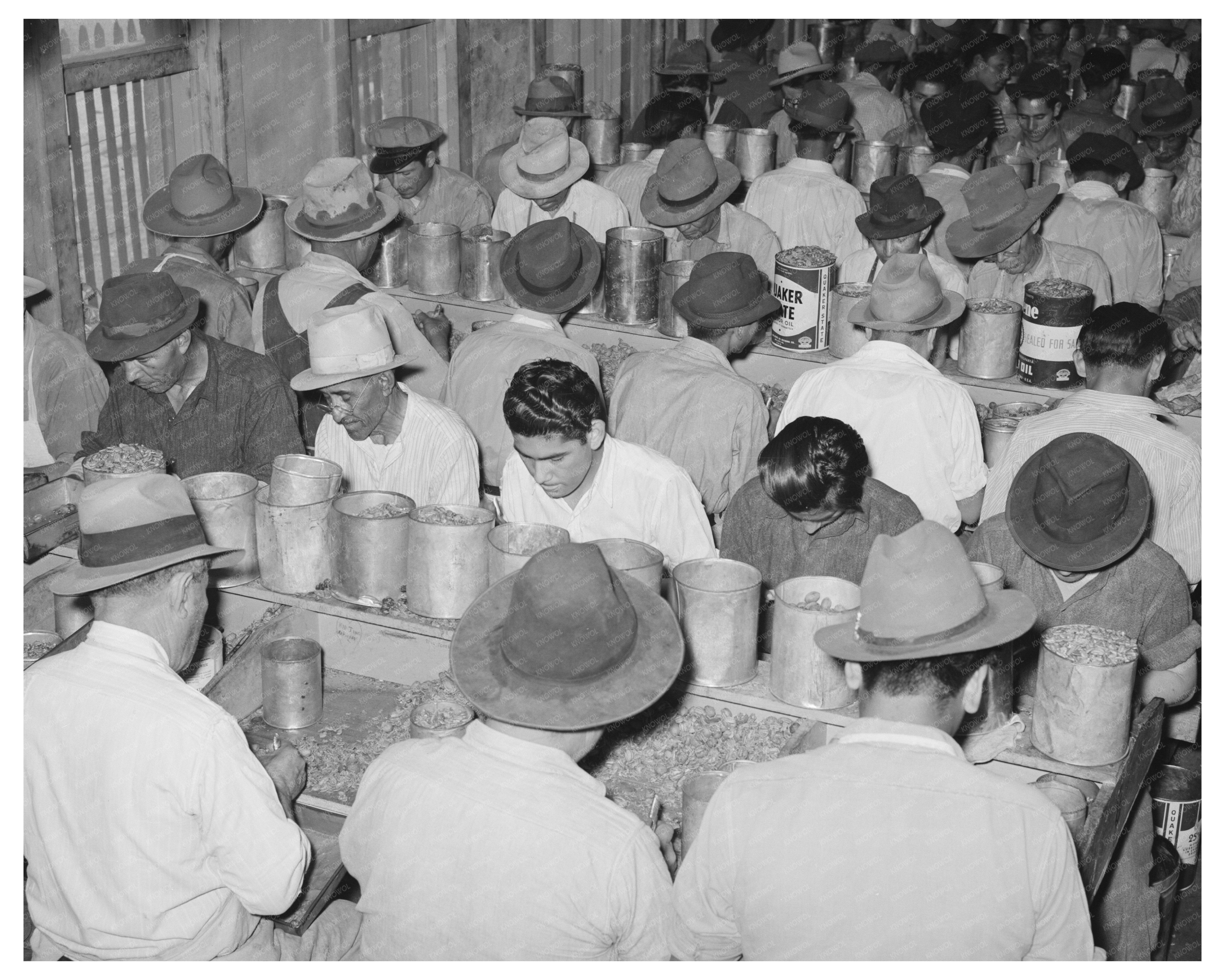 Pecan Shellers at Union Plant San Antonio 1939