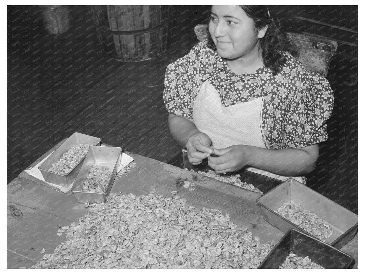 Pecan Shelling Plant Workers San Antonio Texas March 1939