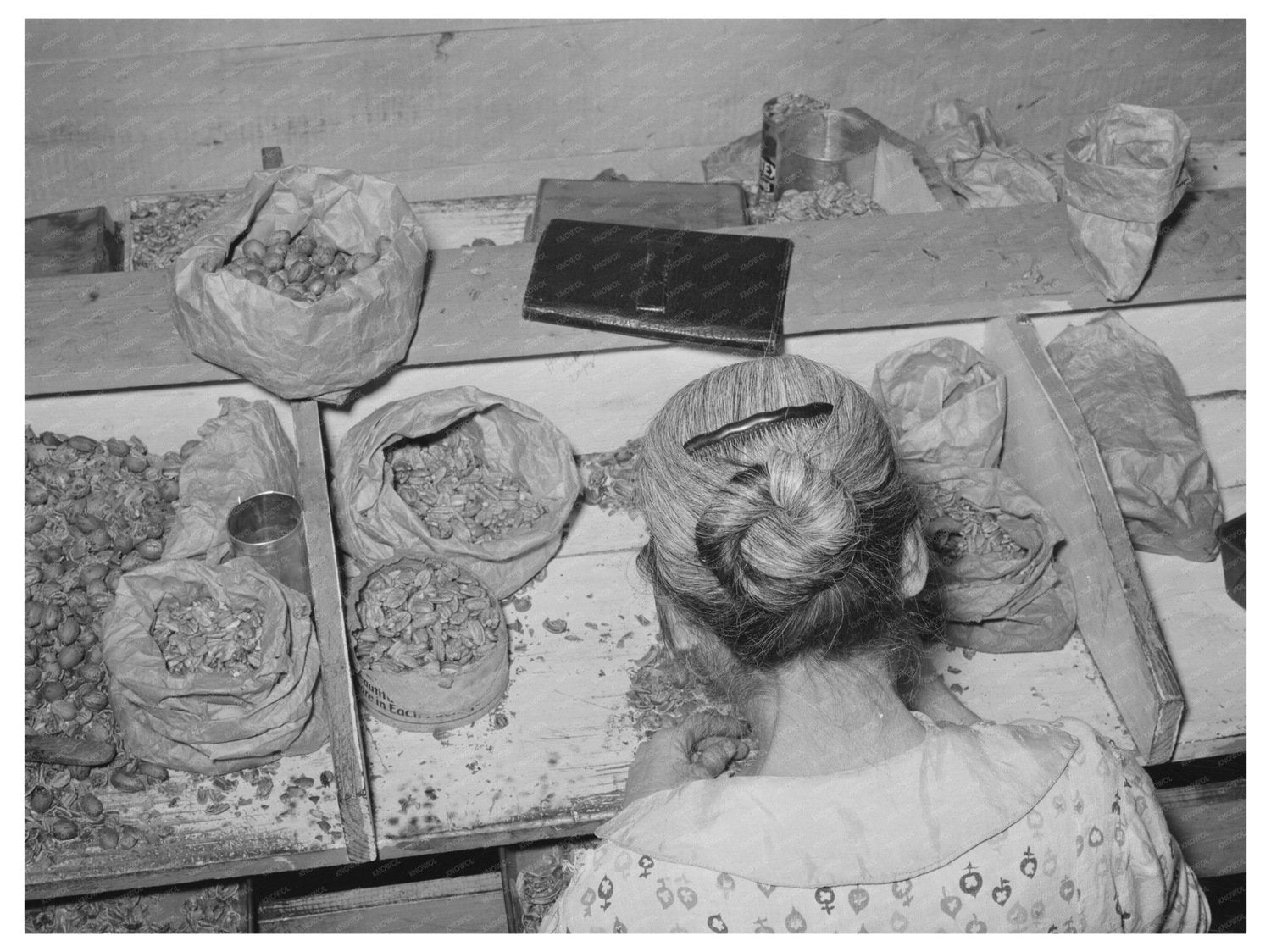 Pecan Shelling Workers in San Antonio Texas 1939