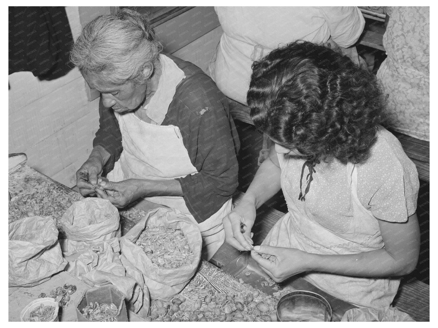 Workers at Pecan Shelling Plant San Antonio 1939