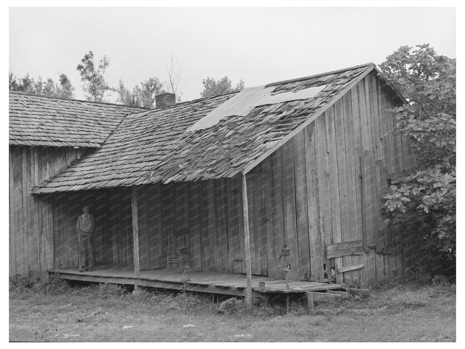 Migrant Berry Pickers Housing Hammond Louisiana 1939