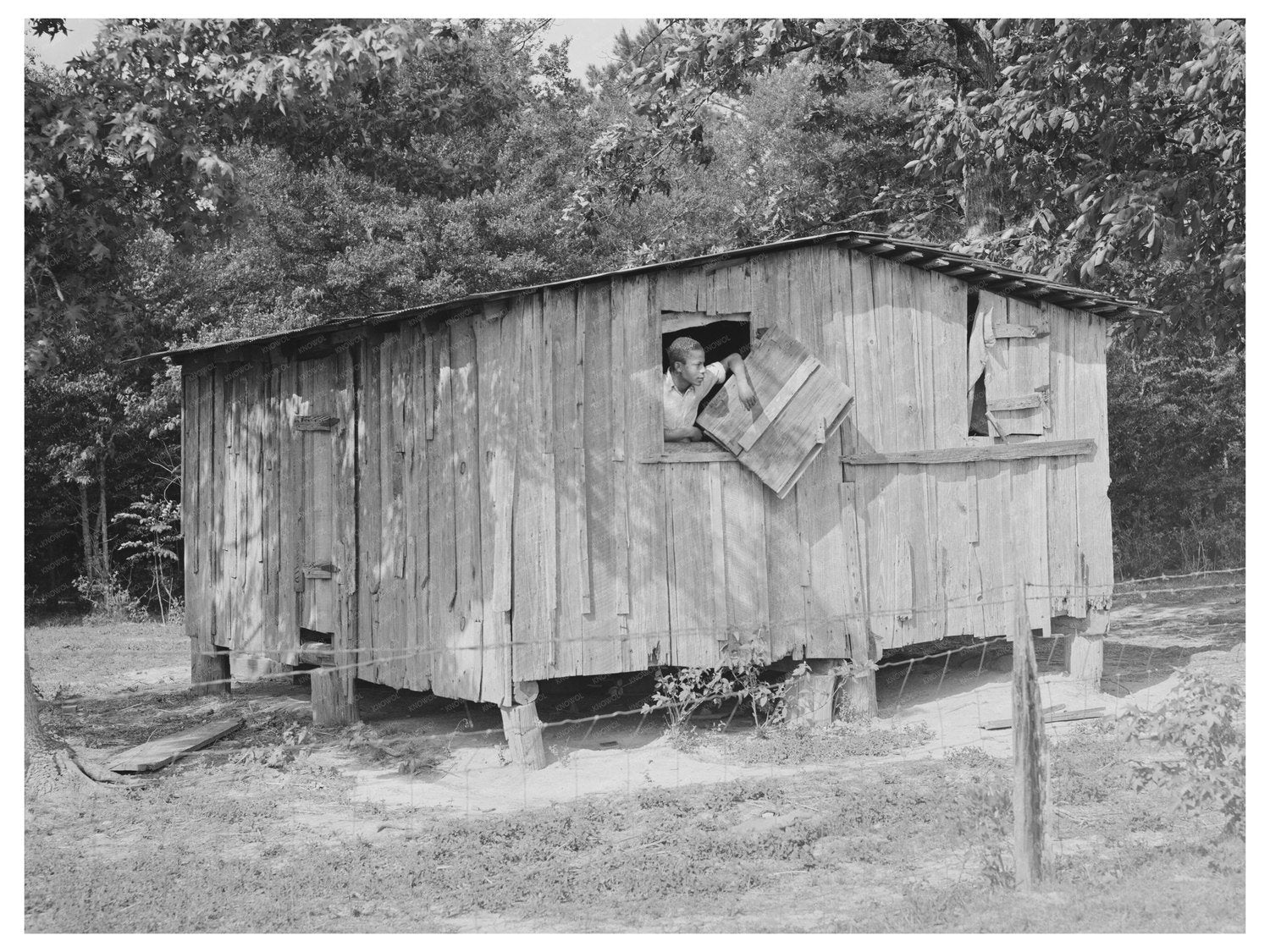 Strawberry Picker Quarters Hammond Louisiana April 1939